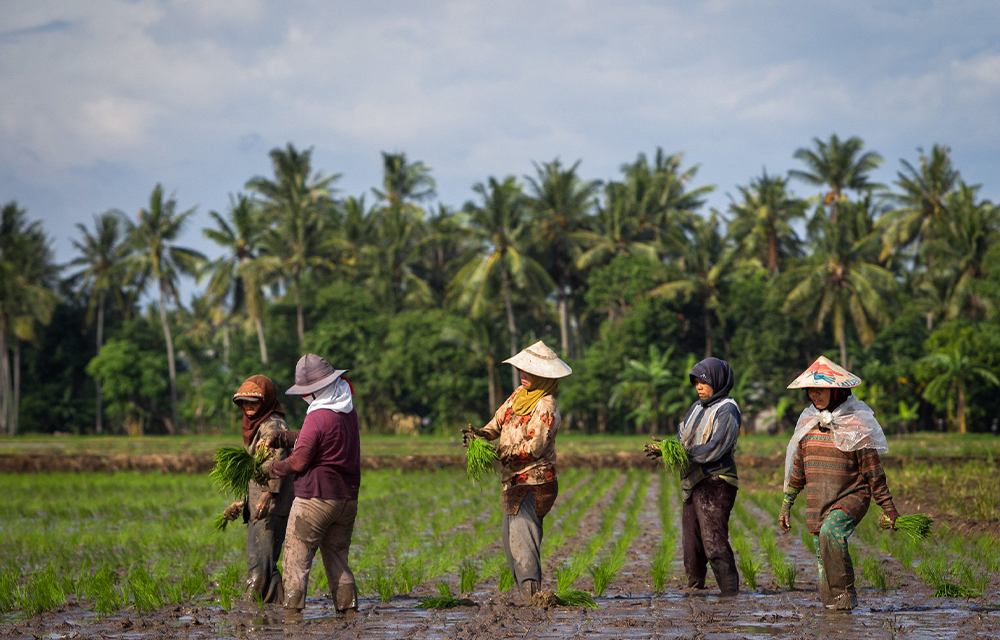 Re-imagining Agronomy - Innovations & Pathways for Sustainable Agriculture