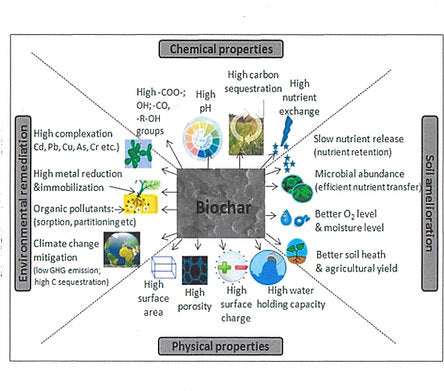 Premium Engineered Biochar (Powder)