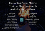 Premium Engineered Biochar (Powder)