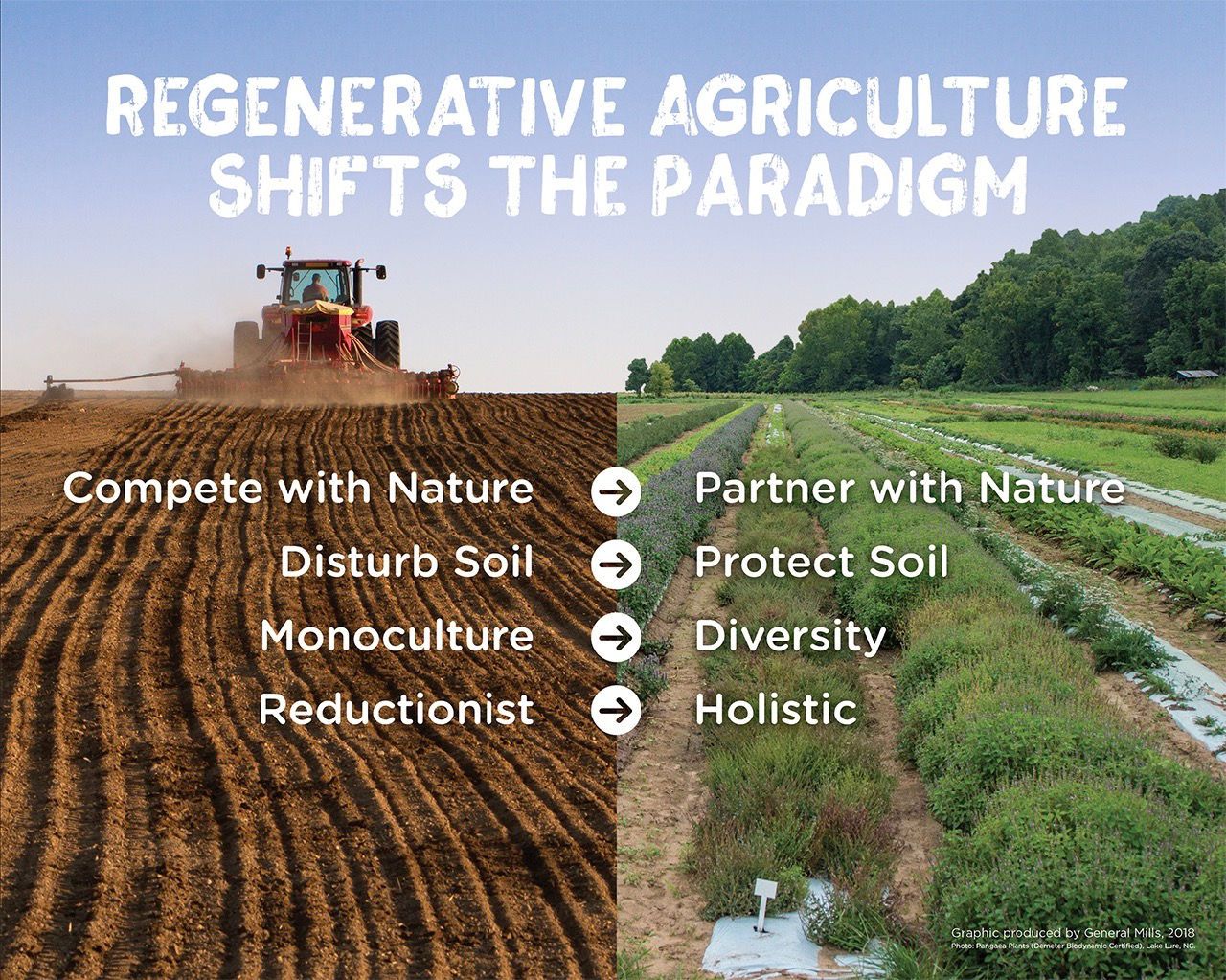 Regenerative Agriculture