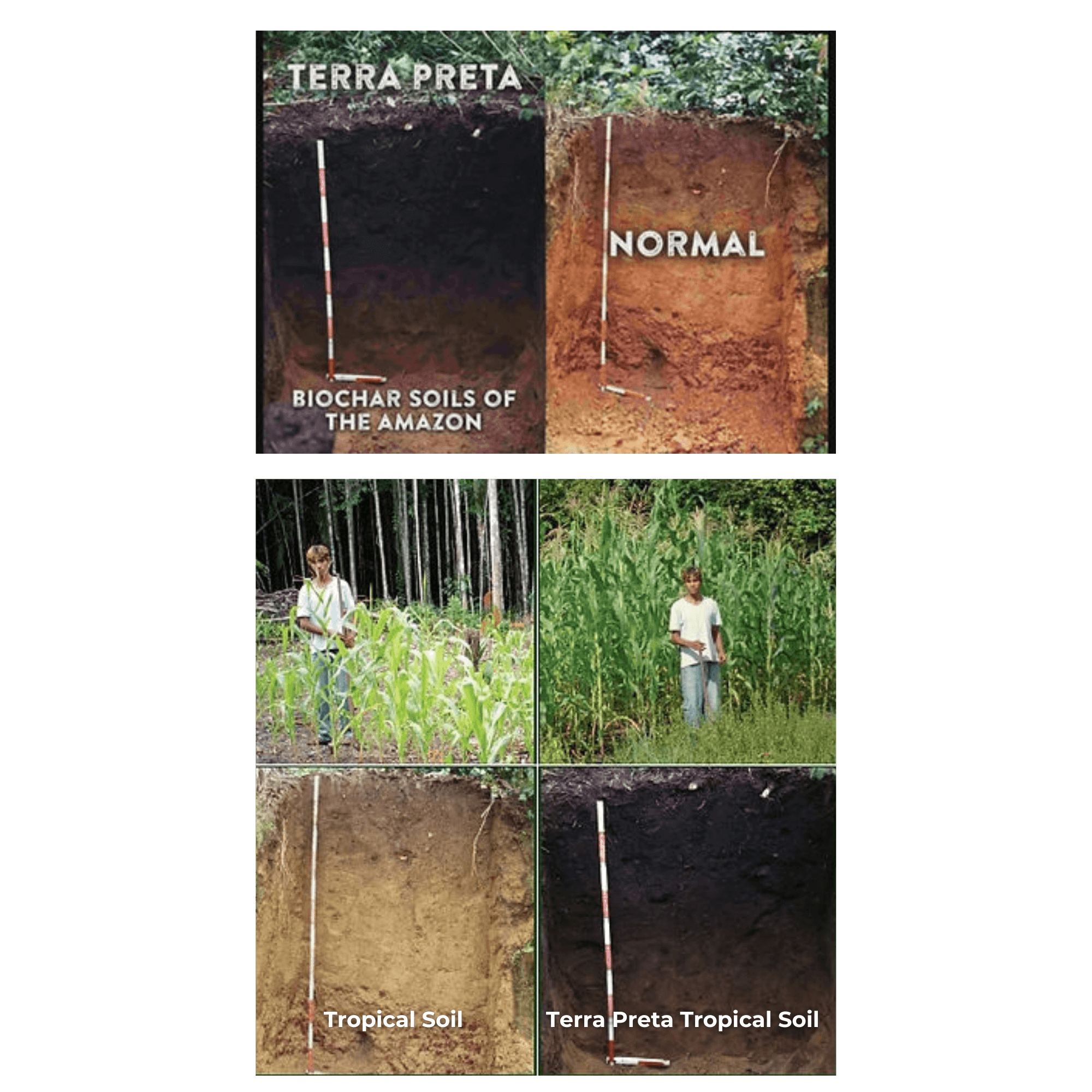 Tropical_Soil_1.png